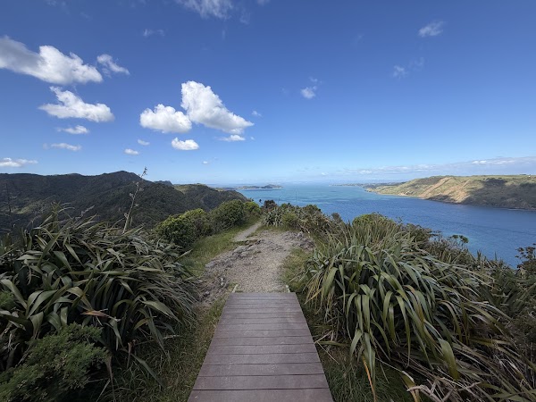 Omanawanui Track carpark 3