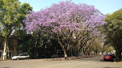 La Condesa