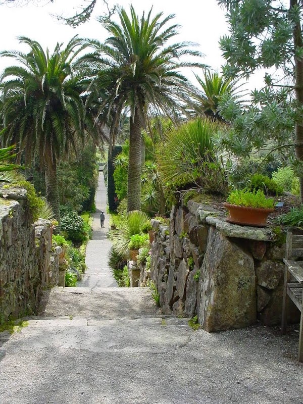 Tresco 5