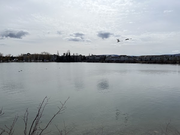 Collingwood Harbour 4