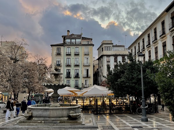 Plaza Nueva 3