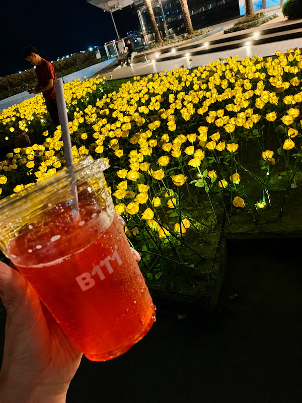 Rose Garden
