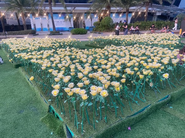 Rose Garden 4