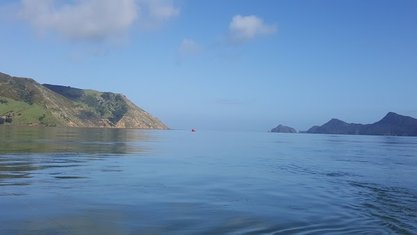 Manukau Harbour 1