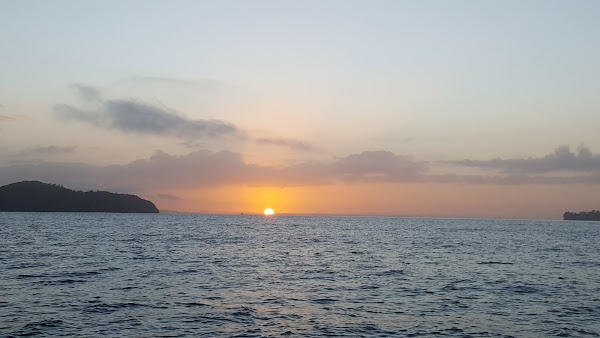 Manukau Harbour 5
