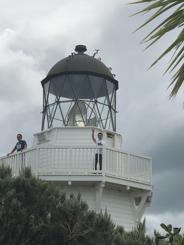 Manukau Harbour 3