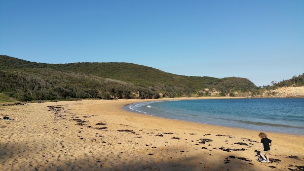 Maitland Bay Track