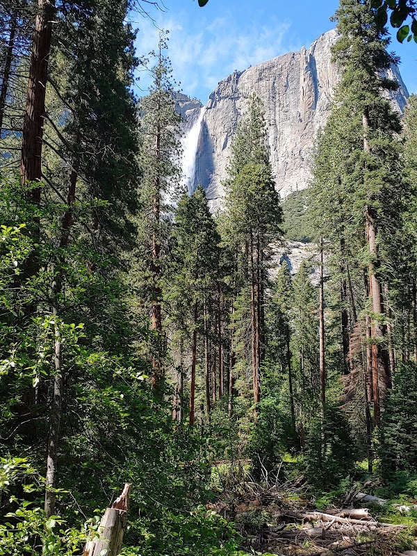 Yosemite Falls Trailhead 5
