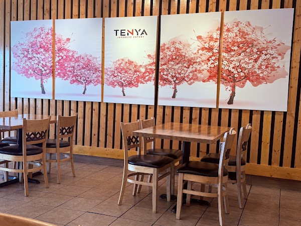 Tenya Japanese Eatery 2