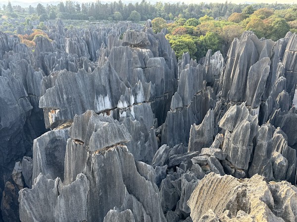 Stone Forest Scenic