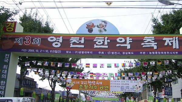 Yeongcheon-si 4