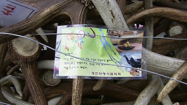 Yeongcheon-si 2