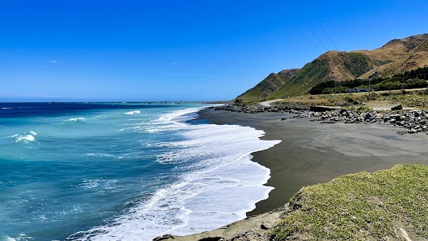 Cape Palliser 5