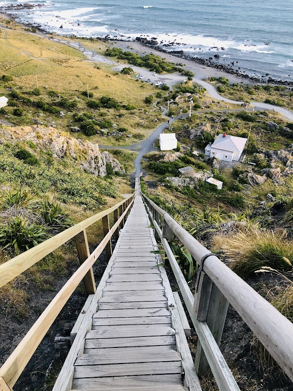 Cape Palliser 3