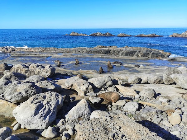Cape Palliser 2