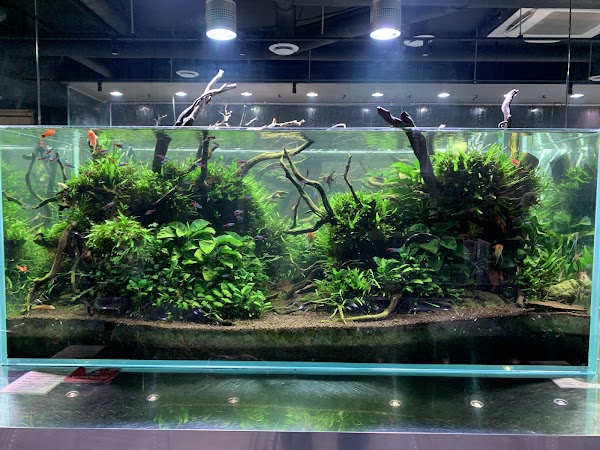 Aqua Garden Kyoto 3