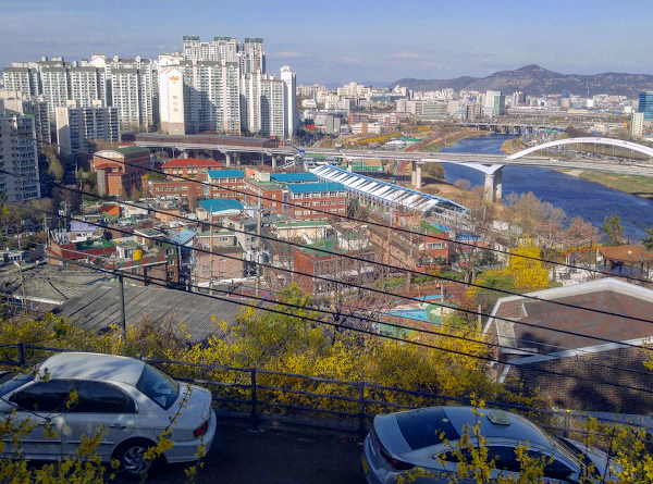 Seongdong-gu 1
