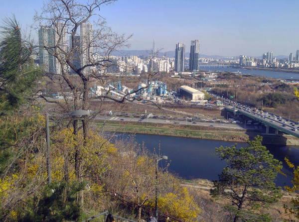 Seongdong-gu 5