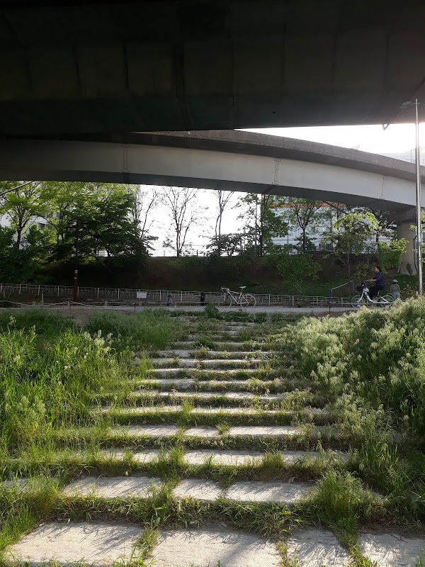 Seongdong-gu 4