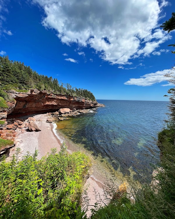 Île Bonaventure 4
