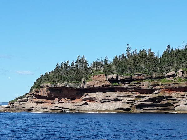 Île Bonaventure 3