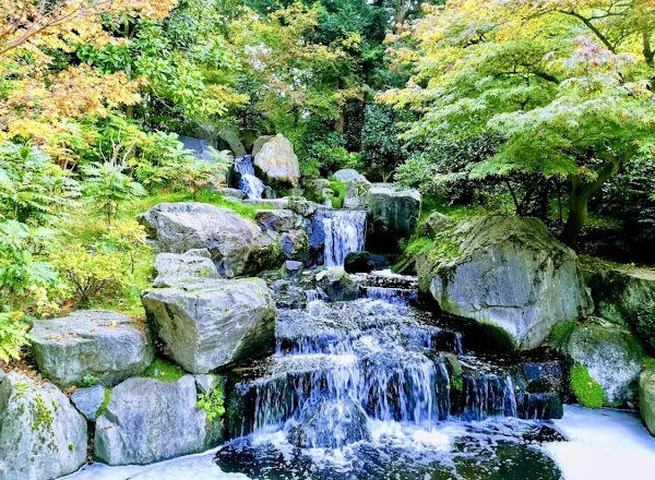 Holland Park 5