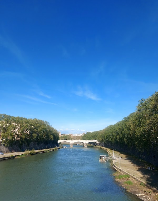 River Tiber 5
