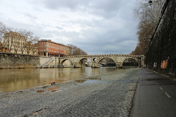 River Tiber 4