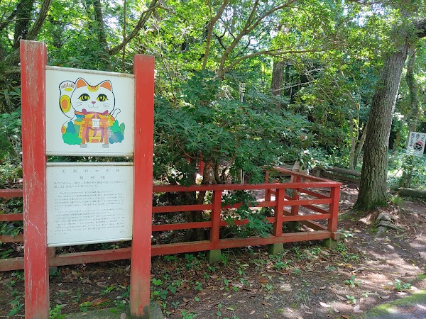 Tashirojima 5