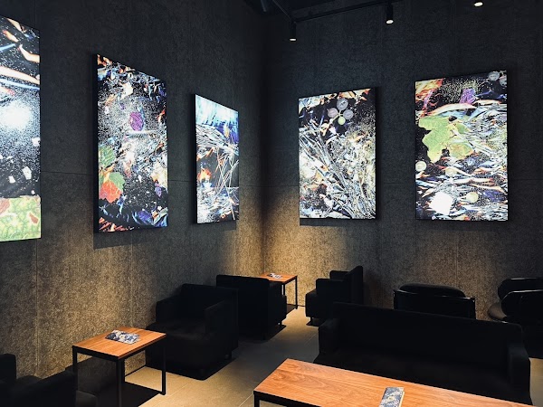 anonymous art cafe & bar