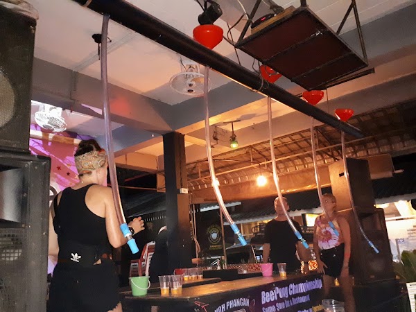 Eclipse Hostel & Bar 1