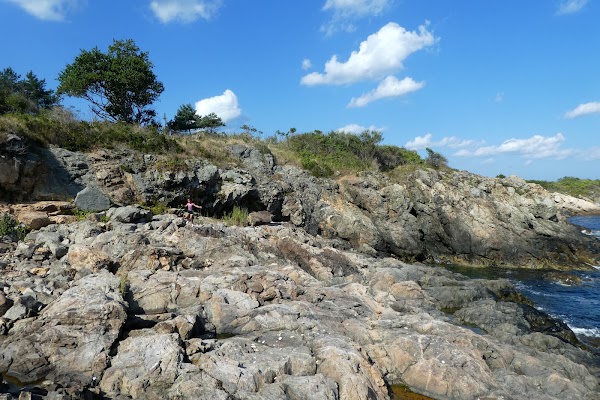 Misery Islands