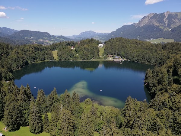 Freiberg See