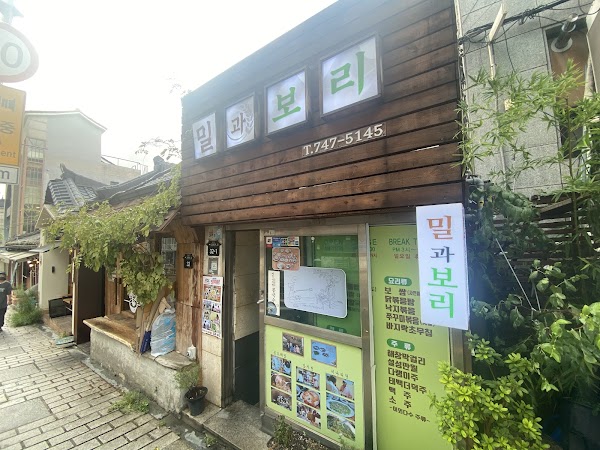 밀과보리 1