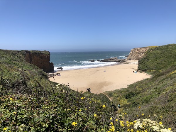 Panther Beach 5
