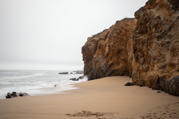 Panther Beach 2