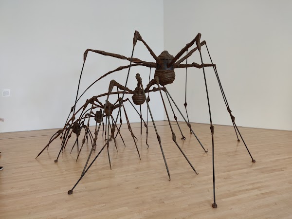 San Francisco Museum of Modern Art 4