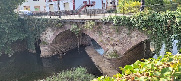 Elizondo 4