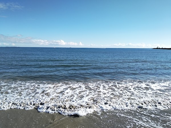 Bathers Beach 2