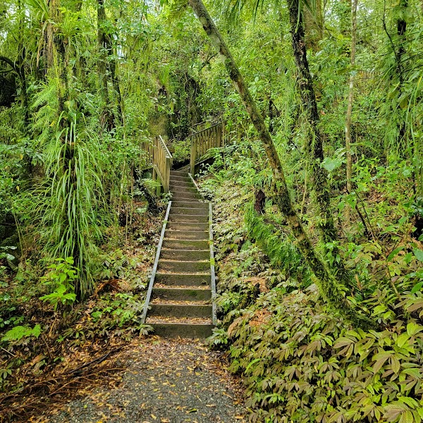 Piripiri Cave Walk 3