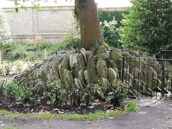 St Pancras Gardens 5