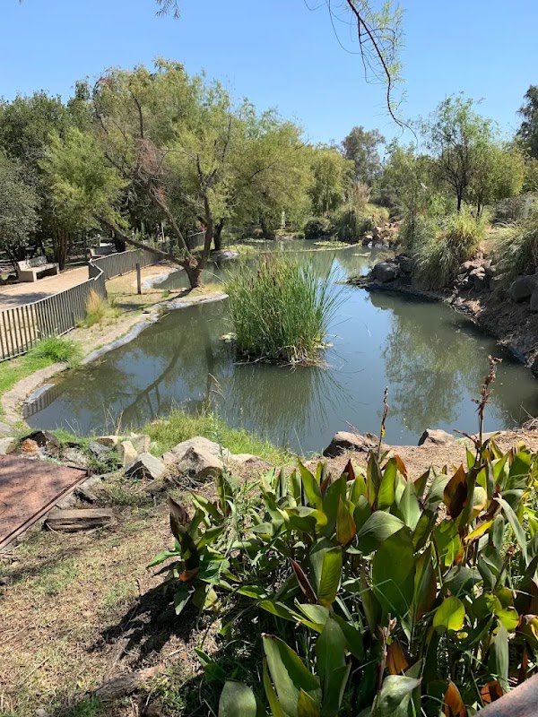 Parquemet - Santiago Forest 1