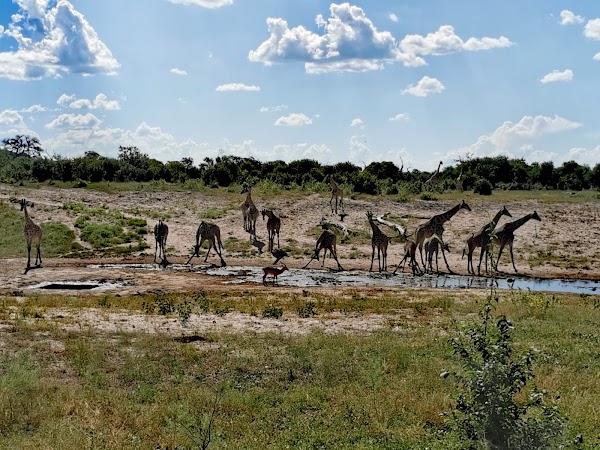 Savute Safari Lodge desert and delta 3
