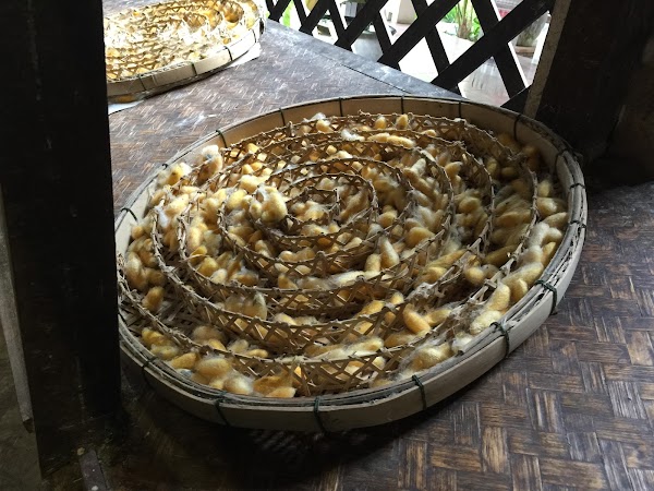 Thai Silk Village Co.,LTD. 3