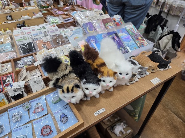 Cat’s Trip 2