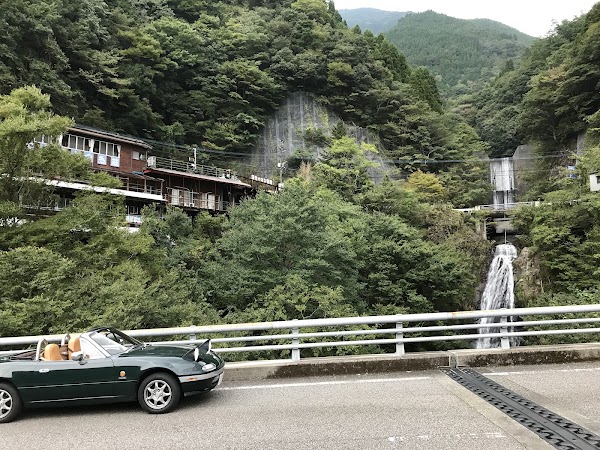 Shiiba 3