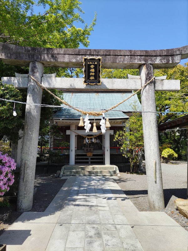 Shiiba 2