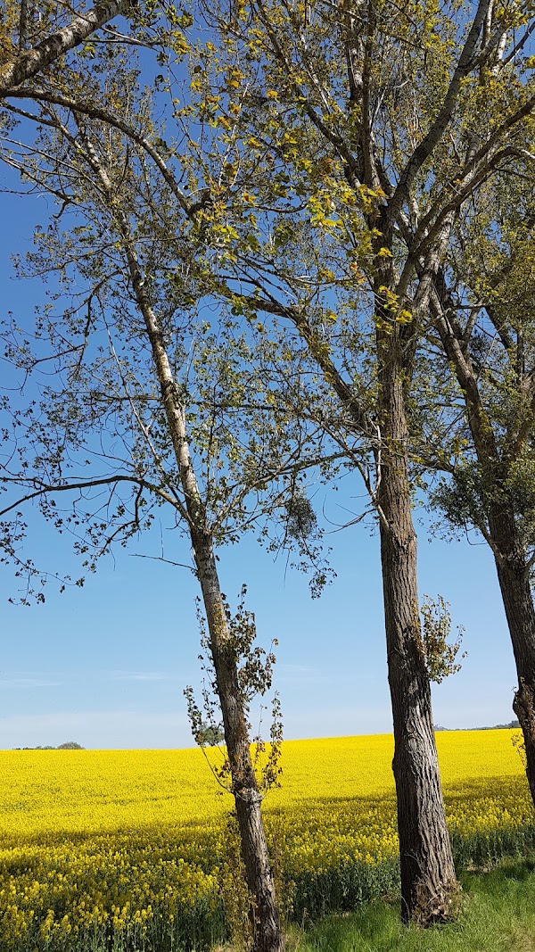 Seitenstetten 3