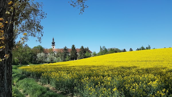 Seitenstetten 2