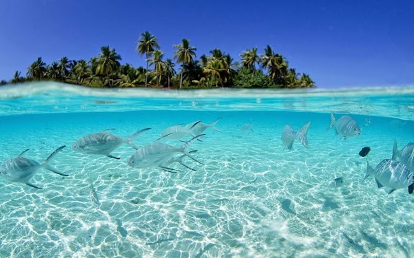 Archipelago of San Bernardo 2